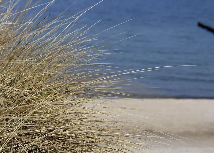 Villa Grosse Kirr Ostseeheilbad Ostseeheilbad Zingst