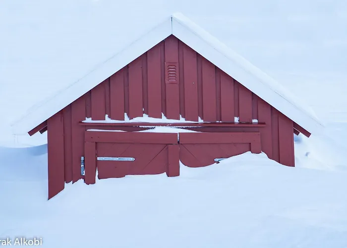 Abisko Guesthouse & Activities