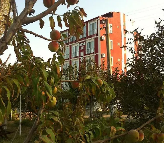Boss 2 Hotel Eceabat