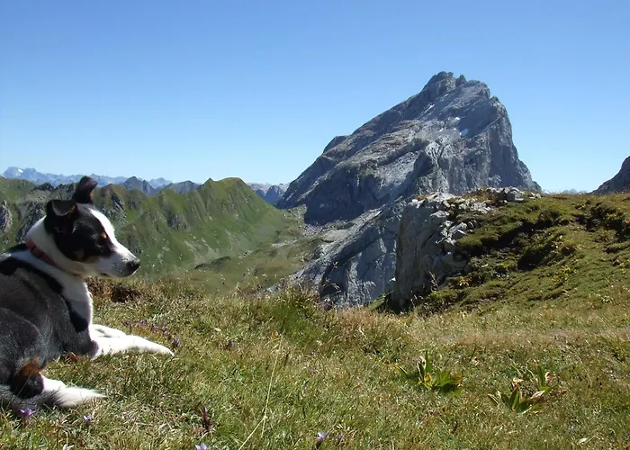 Sonnenhaus Sander Schruns