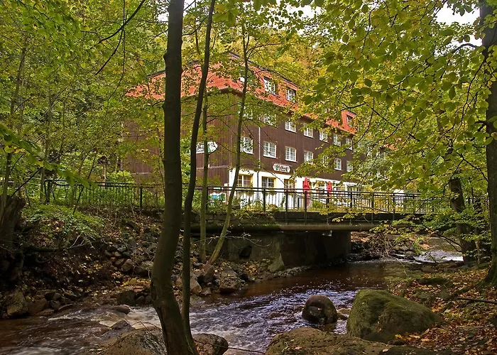 Waldhotel Am Ilsestein Ilsenburg 