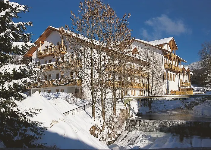 Ferienhotel Rothbacher Hof Bodenmais