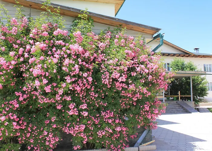 Green Yard Hotel Karakol