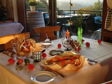 Md Waldhotel Palmspring Bad Peterstal-Griesbach