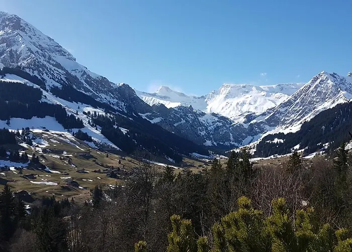 Hotel Crystal Adelboden