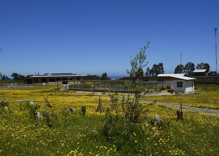 Gasthaus Hecmar 2 Pichilemu