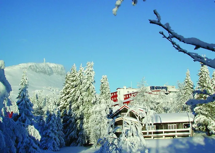 Thon Hotel Skeikampen Svingvoll