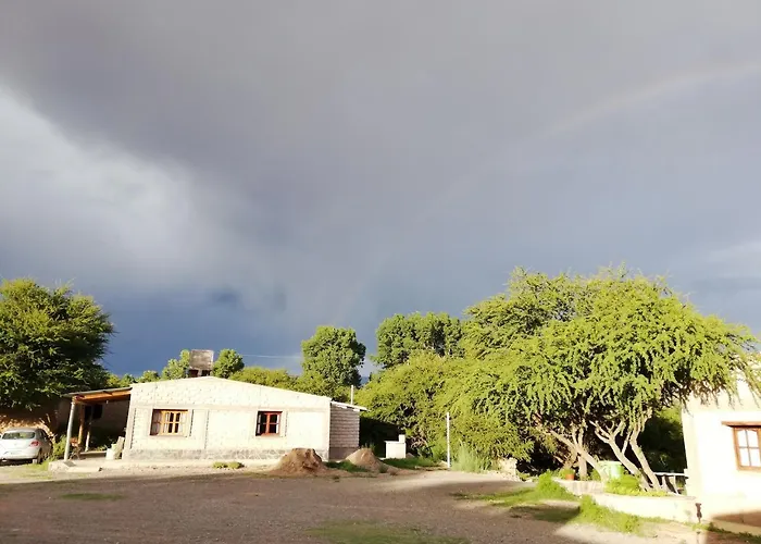 El Churqui Humahuaca