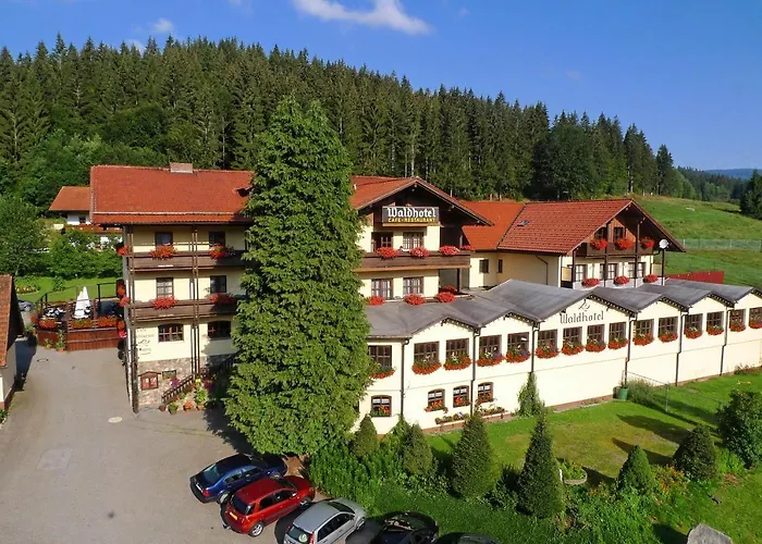 Waldhotel Seebachschleife Bayerisch Eisenstein