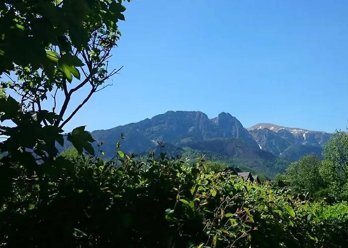 Msc Apartments Honeymoon Zakopane