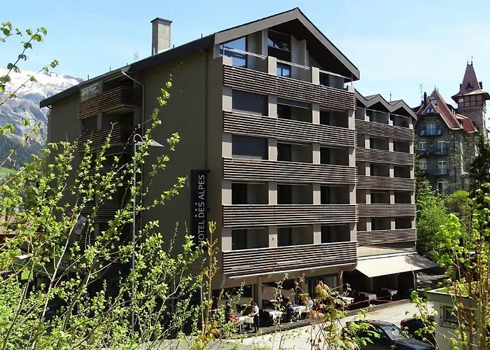 Hotel Des Alpes Flims