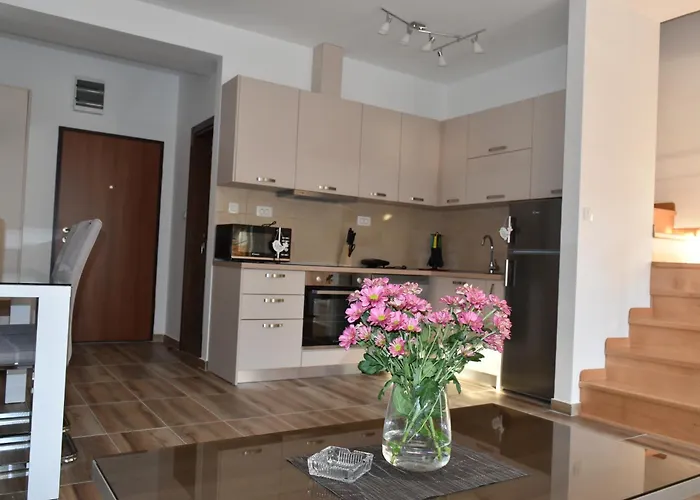 Apartments Sea View Kotor