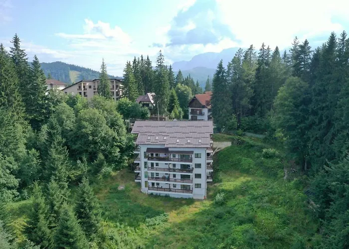 Nature House Predeal