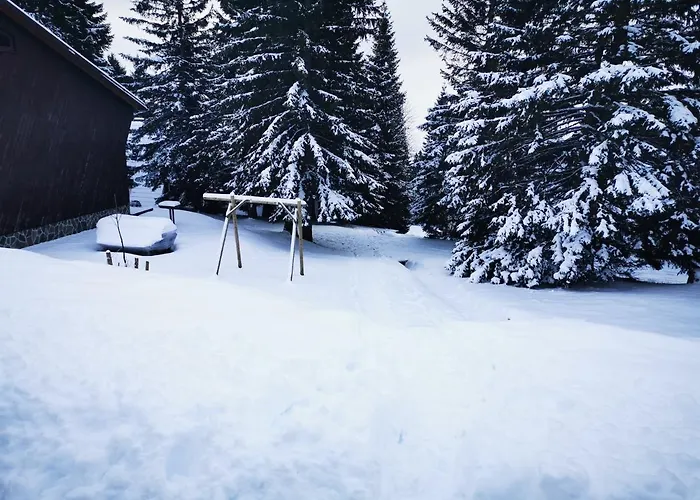 Apartma David Rogla Zreče
