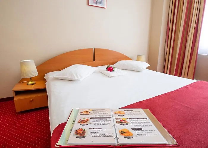Hotel Dana Satu Mare