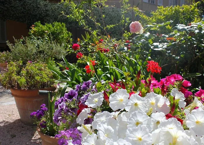Hotel Les Palmiers Saint-Tropez
