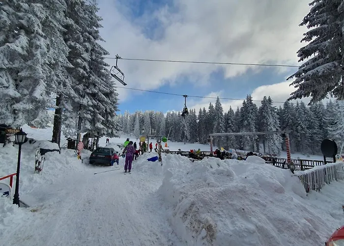 Vila Plan Centar Kopaonik